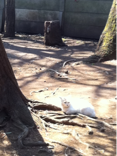 image-20130316155044.png