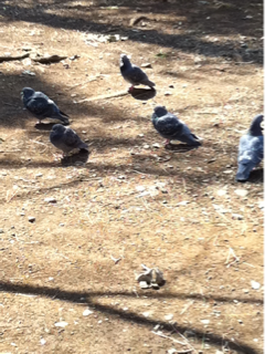 image-20130316155124.png