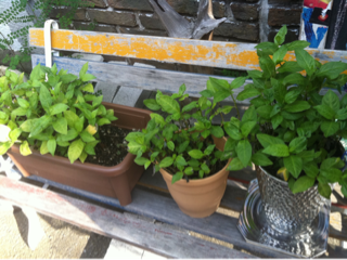 image-20130814161050.png